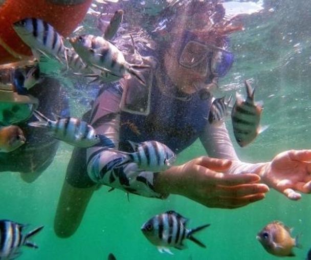 activity_detail_image