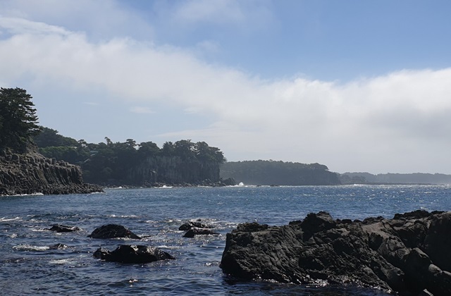 제주 서귀포 천일호 배낚시 체험