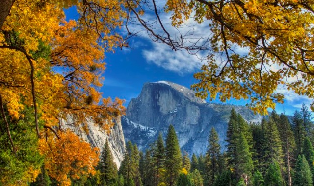 Yosemite & Giant Sequoia Trekking Day Trip from San Francisco