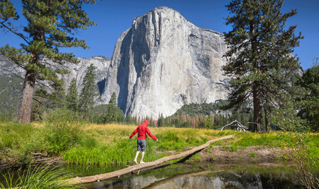 Yosemite & Giant Sequoia Trekking Day Trip from San Francisco