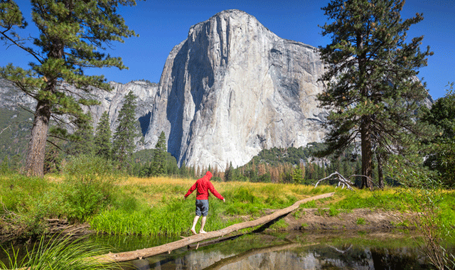 Yosemite & Giant Sequoia Trekking Day Trip from San Jose (WAUG Exclusive)