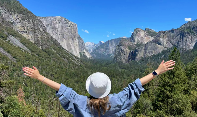 Yosemite & Giant Sequoia Trekking Day Trip from San Jose (WAUG Exclusive)