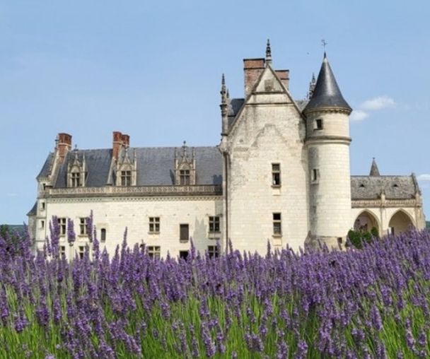 activity_detail_image