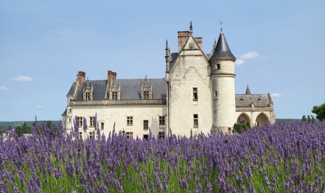 [톡투유] 파리 근교 앙부아즈 & 쉬농소 & 미녀와 야수 샹보르 성 투어