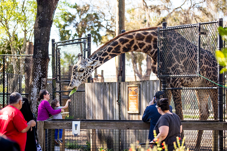 セントラル・フロリダ動物園 & 植物園 優先入場チケット