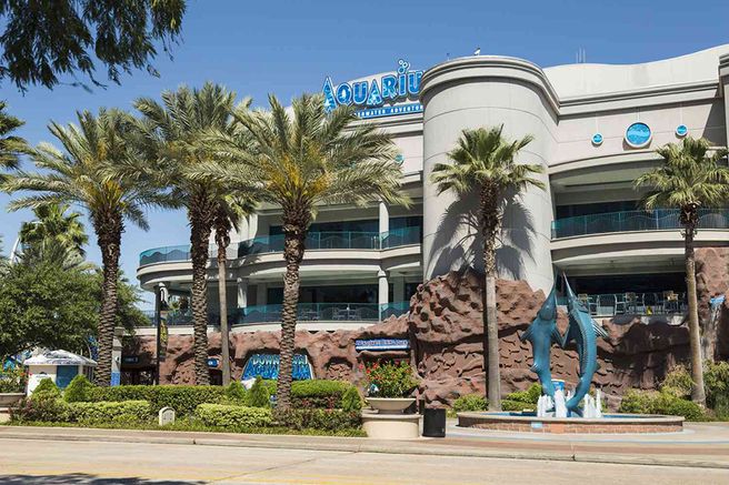 Downtown Aquarium Houston Ticket