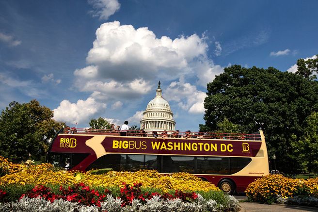 Washington DC Big Bus Hop-On Hop-Off City Tour