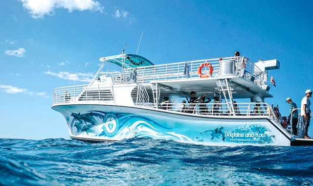 하와이 돌고래 크루즈 & 스노클링 투어 그리고 액티비티!