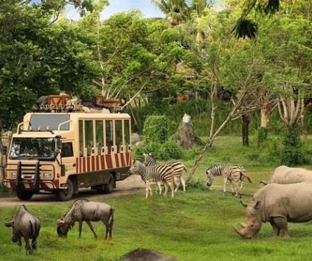 activity_detail_image