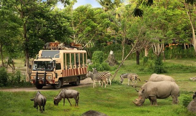 [푸꾸옥고스트] 럭셔리 스파 모닝 단독 투어 (VJ975 / VJ979 전용)