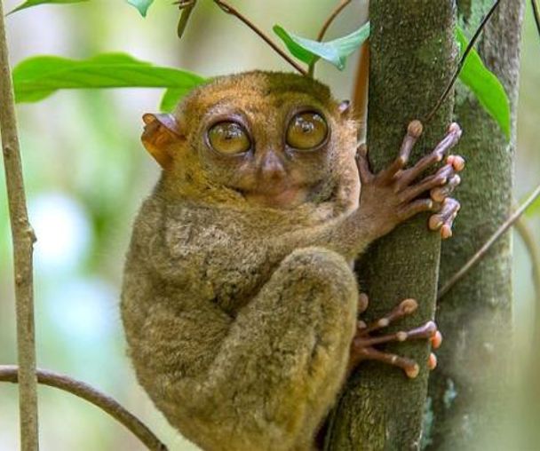 activity_detail_image