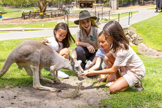 ゴールドコースト カランビン野生動物保護園 入場チケット