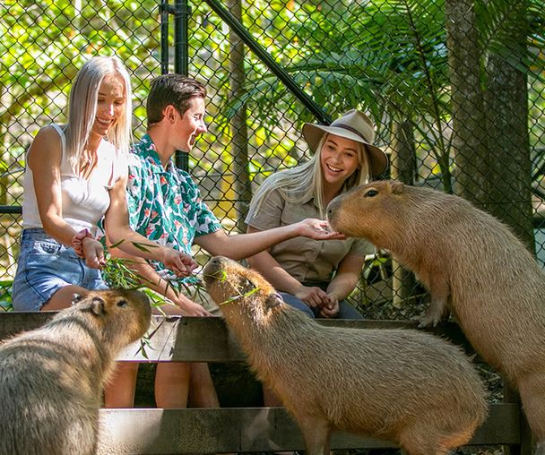 activity_detail_image