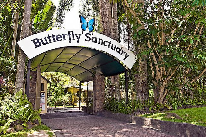 Kuranda Australian Butterfly Sanctuary Ticket
