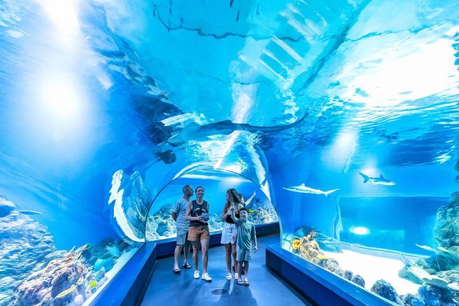 ケアンズ水族館 入場チケット