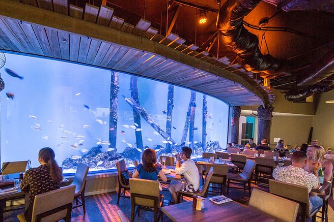 ケアンズ水族館トワイライトディナーパッケージ