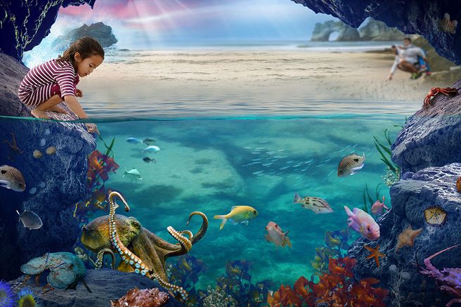 オークランド シーライフ ケリータールトン水族館 優先入場チケット