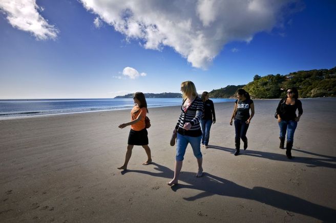Waiheke Island Ferry Round Trip + Explorer Bus Ticket