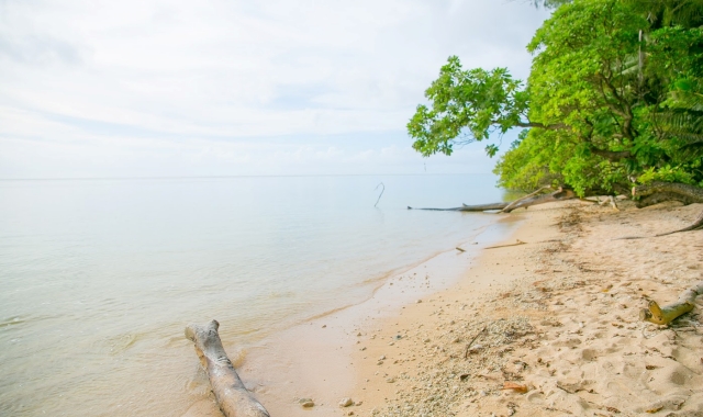 Peleliu: Historical Walking Tour