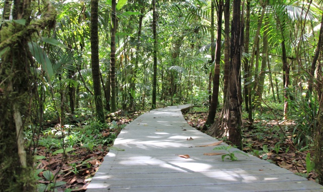 Palau: Ngardmau Waterfall Half-Day Tour