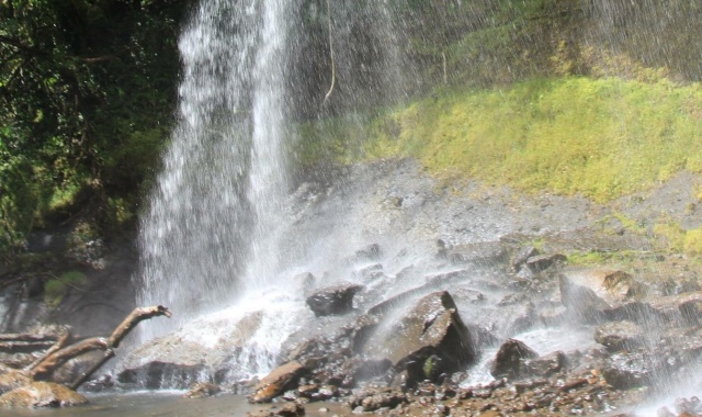 Palau: Ngardmau Waterfall Half-Day Tour