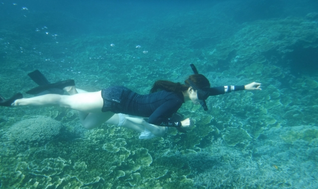 Palau: Rock Islands Tour