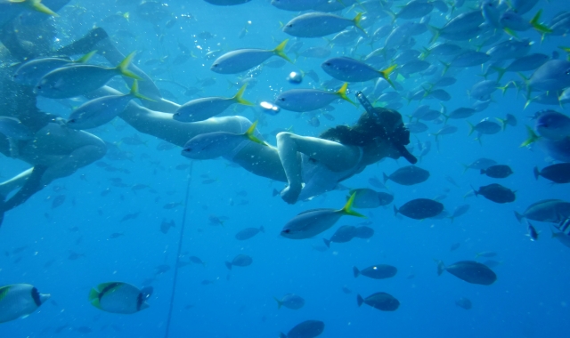 Palau: Rock Islands Tour