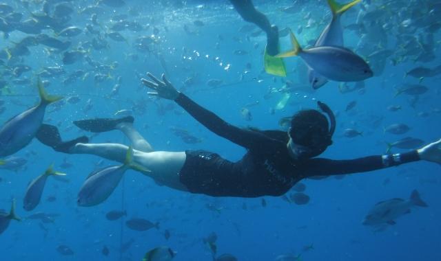 Palau: Rock Islands Tour