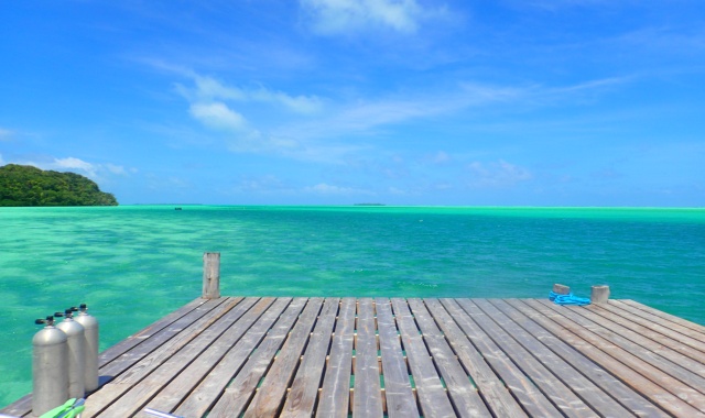 Palau: New South Rock Islands Tour