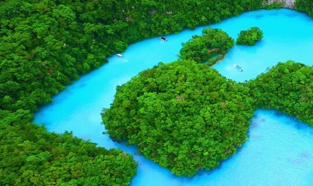 Palau: Kayaking & Rock Islands Tour