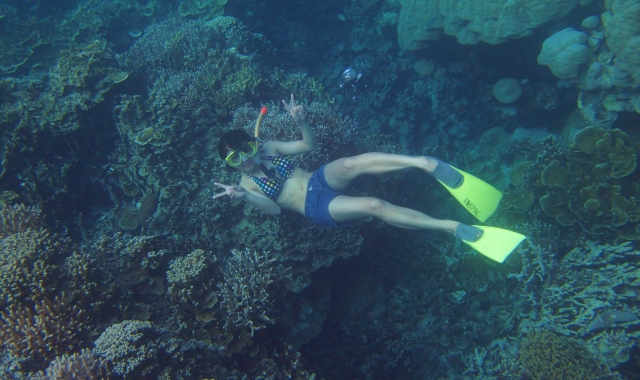 Palau: Kayaking & Rock Islands Tour