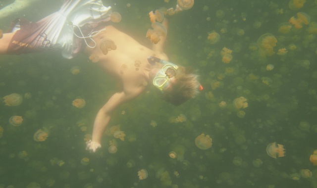 Palau: Kayaking & Jellyfish Lake Tour