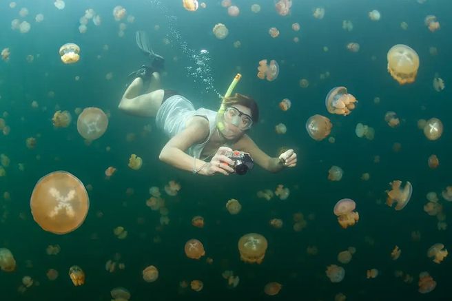 Palau: Jellyfish Lake Tour