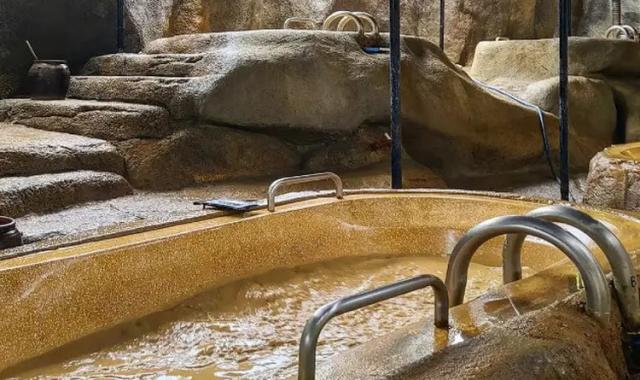 [베나자] 나트랑 아이리조트 머드 투어 (단독 머드탕, 워터파크, 점심 포함)