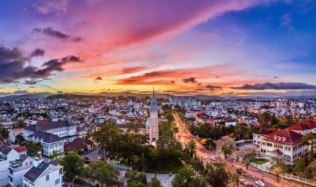 [베나자] [1박2일] 베트남의 숨은 보석, 달랏 투어 - 나트랑 출발