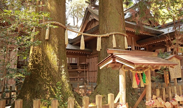 熊本・発 九州高千穂日帰りツアー（高千穂和牛ランチ）