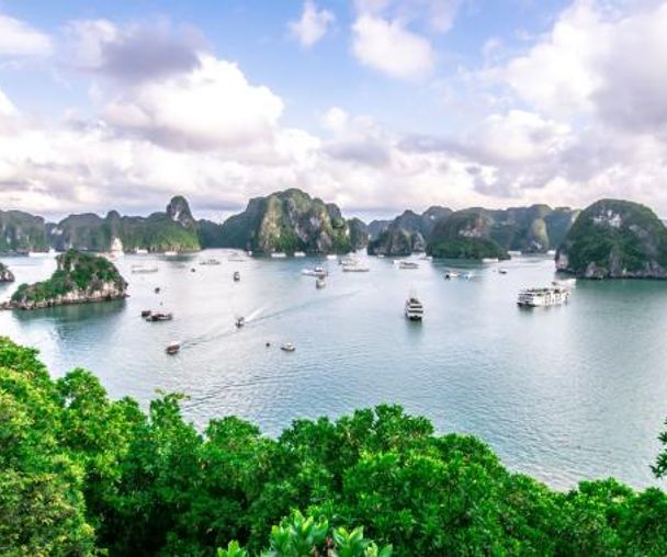 activity_detail_image