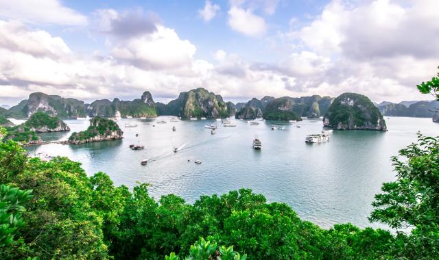 [하노이고스트] 하노이/하롱베이 출발: 하롱베이 일일 크루즈 투어 (한국어 가이드)