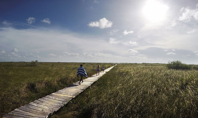 Xian Kan Archaeological Site & Protected Area Joining Tour in Mexico
