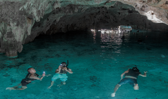 Yucatan Cenotes Half-Day Tour