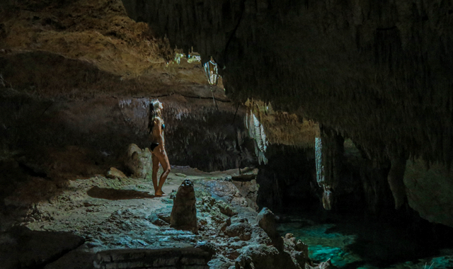 Yucatan Cenotes Half-Day Tour