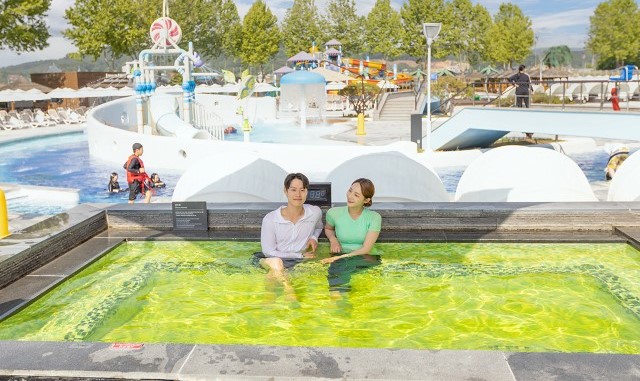 충남 아산 파라다이스 스파 도고 입장권