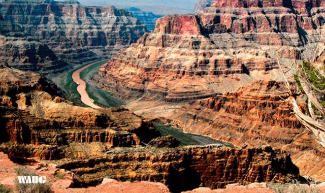 라스베가스 출발: 그랜드캐년 웨스트림 SUV 일일 투어