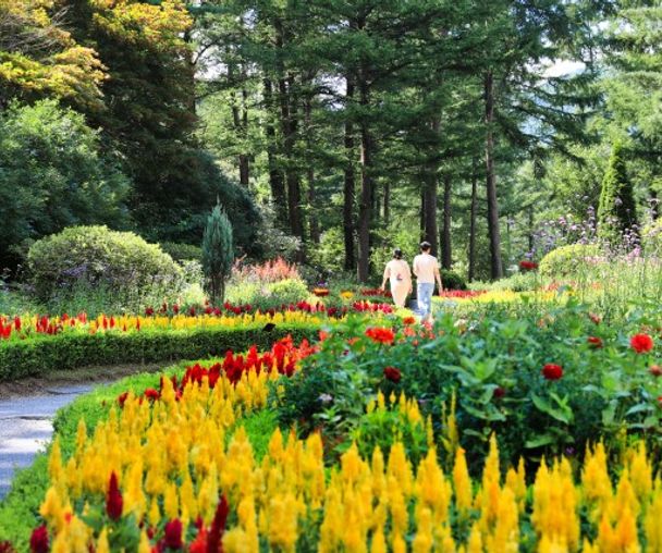 activity_detail_image