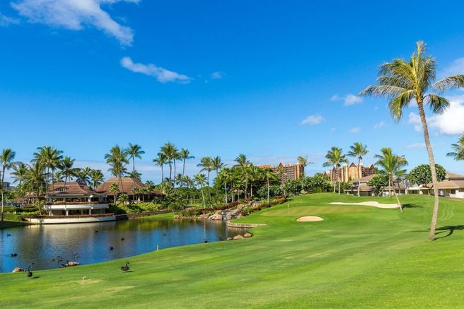 하와이 오아후 코올리나 골프 클럽 - 18홀 그린피 + 카트피