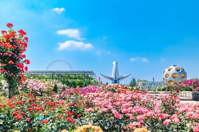 오사카 엑스포 기념공원 자연문화원 입장권