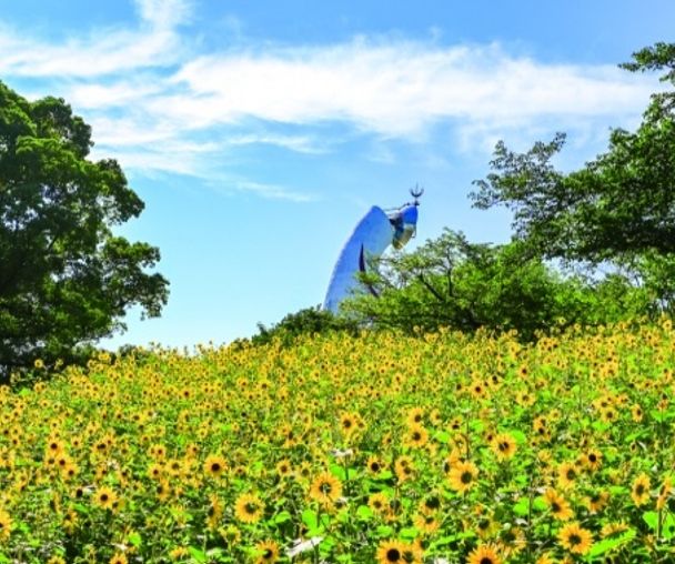 activity_detail_image