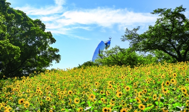 大阪エキスポ記念公園 自然文化園 入場券