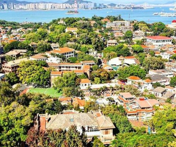 activity_detail_image