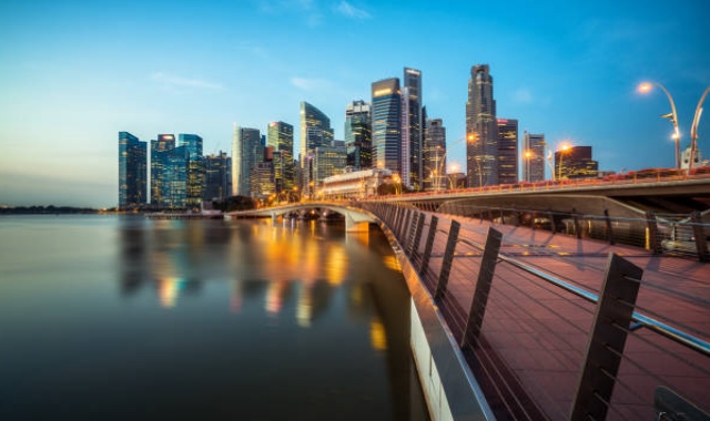 Singapore Private Car Charter with Driver (13-seater, 3 hours)